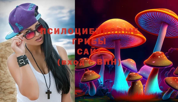 первитин Покровск