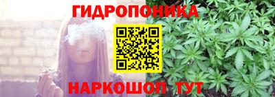 mdpv Гатчина