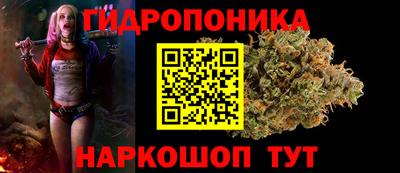 mdpv Гатчина