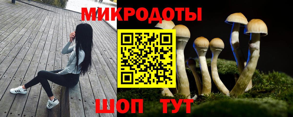 Псилоцибиновые грибы мицелий Иркутск