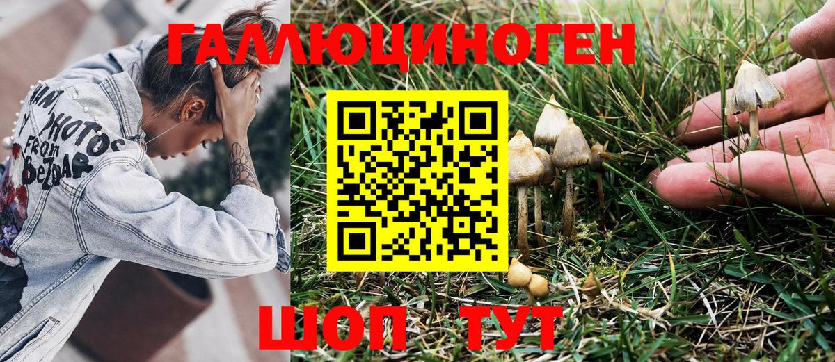 Иркутск  Псилоцибиновые грибы MAGIC MUSHROOMS  Вход с VPN  Псилоцибиновые грибы MAGIC MUSHROOMS 